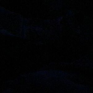 Meet your Posher, Drew